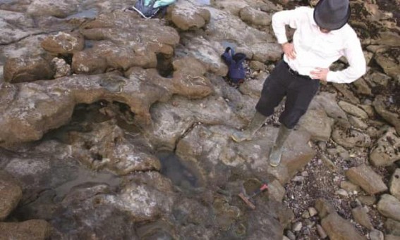 Footprints of last dinosaurs walked 110M years ago in UK found