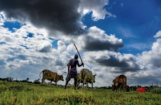 UP to promote digital agriculture to improve farmers' income