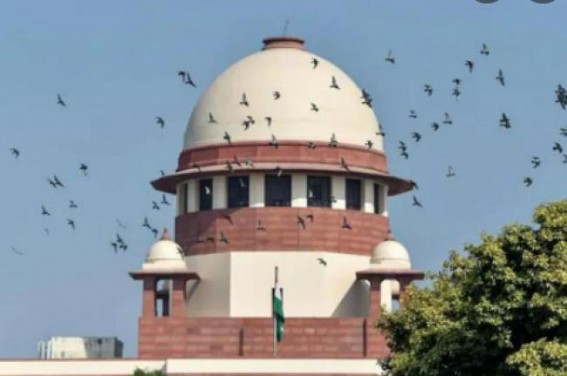 Door-to-door ration: SC refuses to interfere with Delhi HC order Door-to-door ration: SC refuses to interfere with Delhi HC order