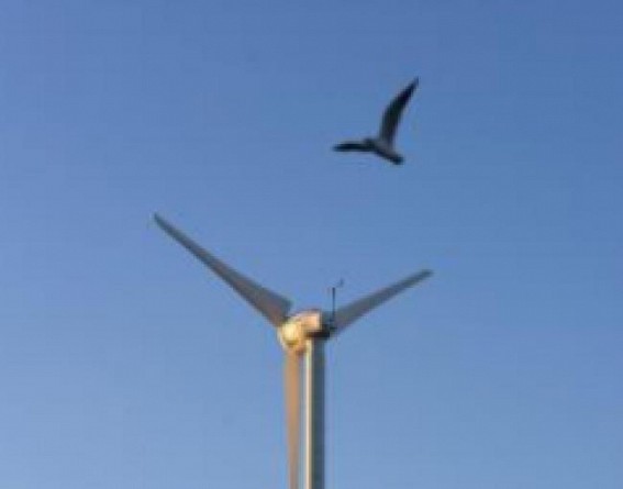 Rs 350 cr offshore wind energy research centre to be set in TN