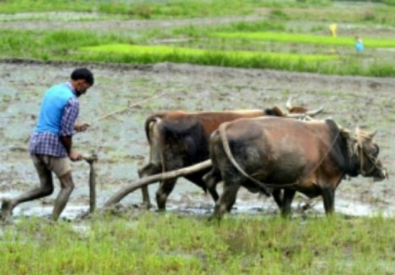 As target date approaches, doubling of farmers' incomes still a distant dream As target date approaches, doubling of farmers' incomes still a distant dream