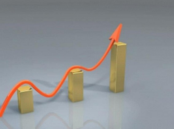 Oil meals exports in May 2022 report 12% hike