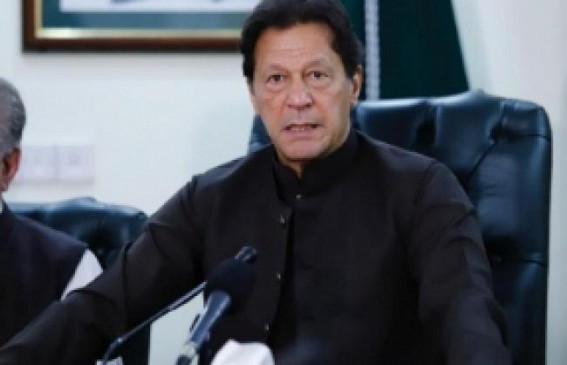 25 deer die of rabies in Colombo suburb