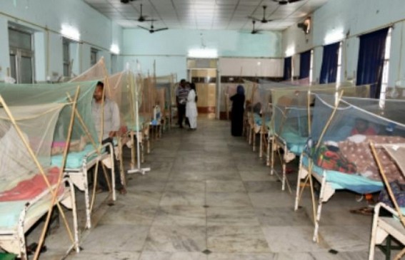 Lucknow reports 47 dengue cases in a day Lucknow reports 47 dengue cases in a day