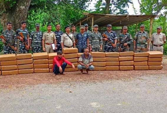 Ambassa Police Seized 732 Kg Dry cannabis from a vehicle, 2 Arrested