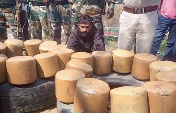 135 Kg dry cannabis recovered from 12 wheelers in Teliamura 135 Kg dry cannabis recovered from 12 wheelers in Teliamura