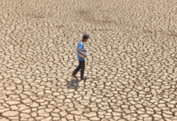 Drought causes over $1bn production losses in Uruguay Drought causes over $1bn production losses in Uruguay