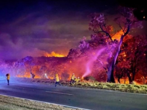 Warnings of unprecedented grass fire risk in Australia Warnings of unprecedented grass fire risk in Australia