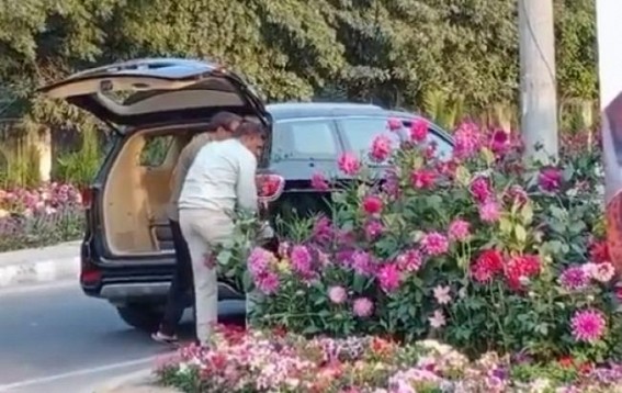 Gurugram: Flower pots arranged for G20 stolen, one arrested Gurugram: Flower pots arranged for G20 stolen, one arrested