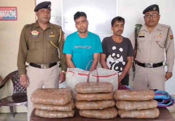 East Agartala Police arrested two with dry 10 KG dry Ganja East Agartala Police arrested two with dry 10 KG dry Ganja