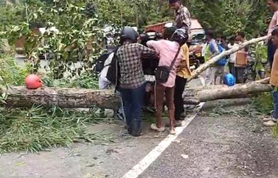 National Highway was closed for 3 Hours in Atharaomura after Landslide, trees collapsed