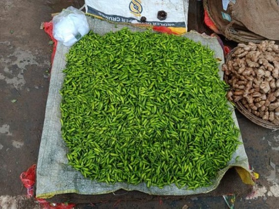 Chilli Prices hit Rs. 250 P/K in markets Chilli Prices hit Rs. 250 P/K in markets