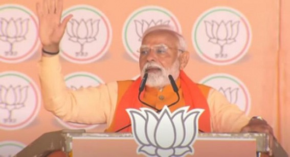 At Delhi poll rally, PM Modi promises 'Vikas ka naya Basant' for residents