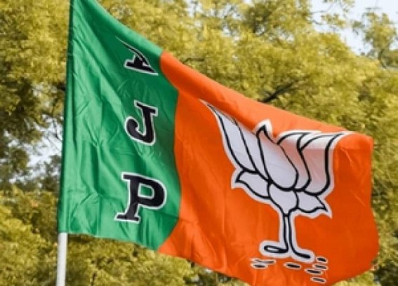 BJP distances itself from party MPs' remarks on judiciary