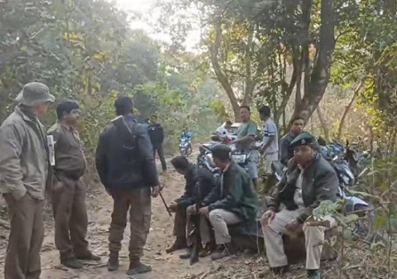 Elephant gunned down by miscreants ; teeth and meat taken out