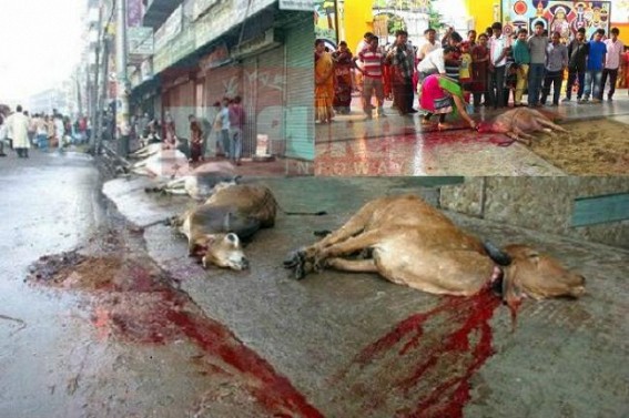 Sacrifice by Humanity ??? ‘Kurbani’ Eid killed lakhs of animals in State : Superstition, bloodshed, inhumanity hovering over Hindus, Muslims rituals in Digital India’s Era of 21st Century ! Sacrifice by Humanity ??? ‘Kurbani’ Eid killed lakhs of animals in State : Superstition, bloodshed, inhumanity hovering over Hindus, Muslims rituals in Digital India’s Era of 21st Century !