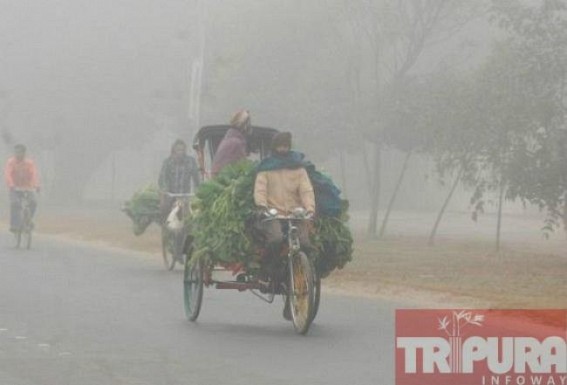 Winter expected to lessen its grip in the state in the coming days : MET official talks to TIWN Winter expected to lessen its grip in the state in the coming days : MET official talks to TIWN