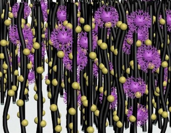 New device to capture and identify viruses developed New device to capture and identify viruses developed