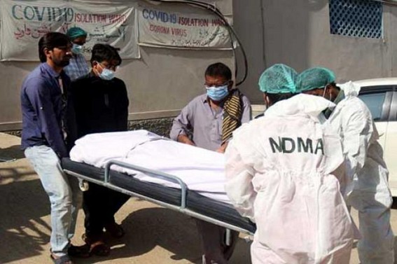 Pakistan reports 3,559 new Covid-19 cases, 101 deaths Pakistan reports 3,559 new Covid-19 cases, 101 deaths