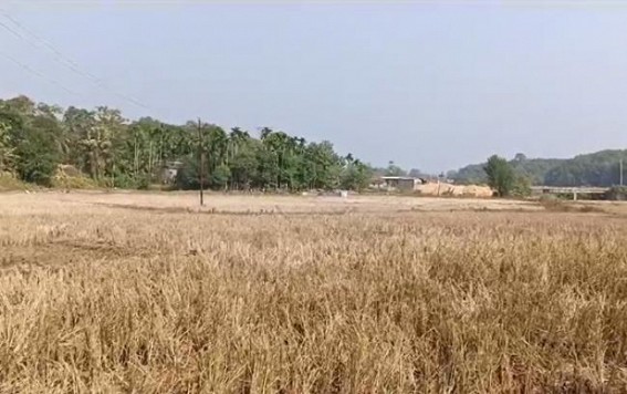 Severe water crisis disrupts crop production in Takarjala Severe water crisis disrupts crop production in Takarjala