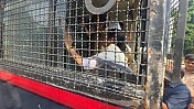 Mamata Banerjee Detained by Delhi Police During Jantar Mantar Protest Mamata Banerjee Detained by Delhi Police During Jantar Mantar Protest